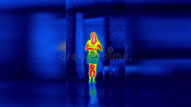 Immagine termica a infrarossi