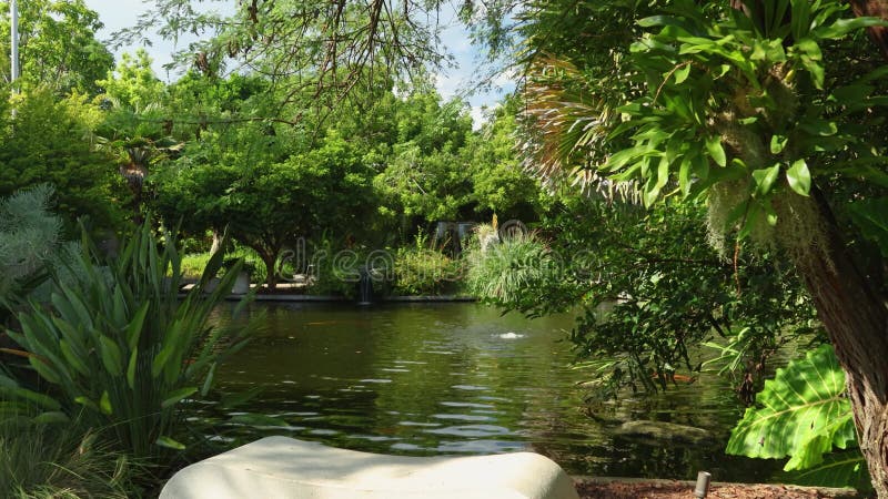 Immagini di un bellissimo paesaggio estivo nel giardino botanico di miami con erba verde lussuosa e piante di uno stagno