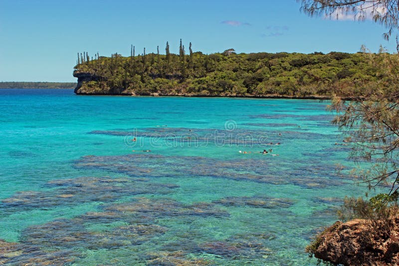 Immergersi lagune nell'isola di Lifou, la Nuova Caledonia, Pacifico Meridionale fotografia stock Immergersi lagune nell'isola di Lifou, la Nuova Caledonia, Pacifico Meridionale fotografia stock