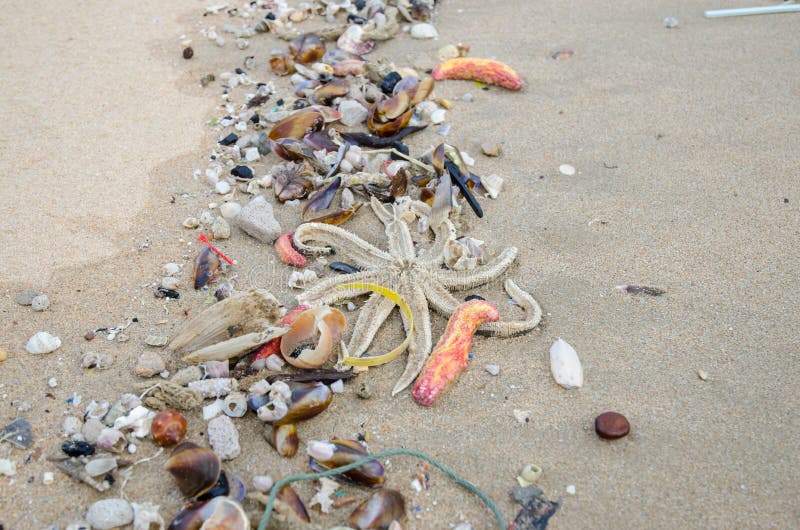 Immondizia su una spiaggia, inquinamento ambientale fotografia stock Immondizia su una spiaggia, inquinamento ambientale fotografia stock