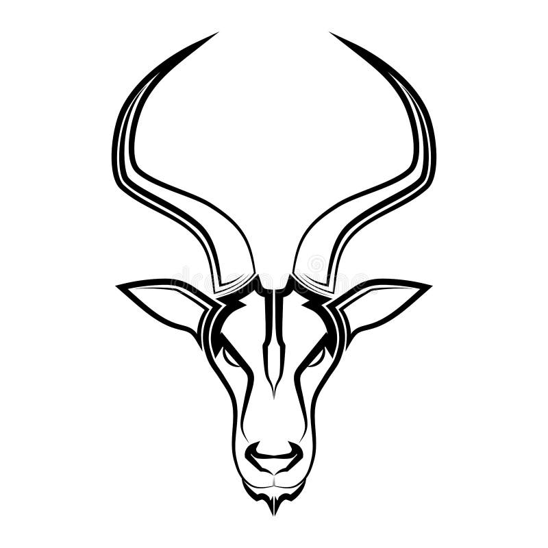 Impala head Suitable for use as decoration or logo Line art vector of springbok head Suitable for use as