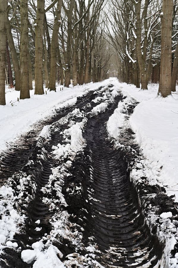 Muddy tracks in the snow stock image Image of dirt 240984909 Muddy tracks in the snow stock image Image of dirt 240984909