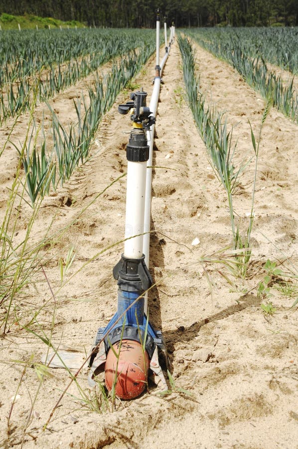 Impianto di irrigazione