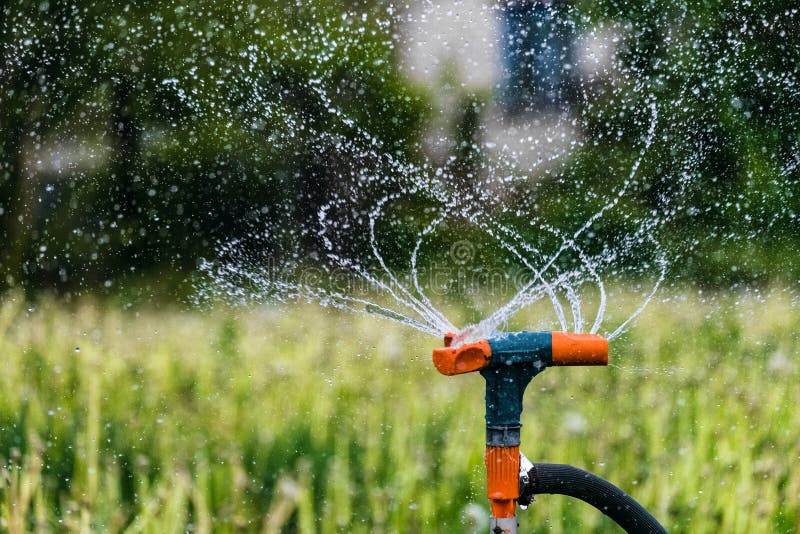 Impianto di irrigazione di giardinaggio che innaffia le piante verdi Gocce di acqua dello spruzzatore e della spruzzata di rotazi fotografie stock Impianto di irrigazione di giardinaggio che innaffia le piante verdi Gocce di acqua dello spruzzatore e della spruzzata di rotazi fotografie stock