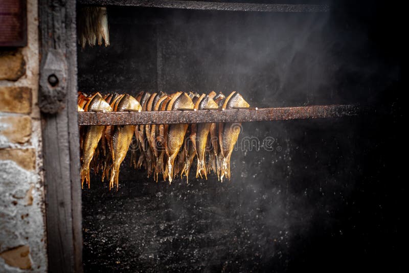 Impianto di lavorazione del pesce Pesce di affumicato caldo freddo Pesce affumicato in scatola dell'affumicatoio Fine sul pesce d fotografie stock Impianto di lavorazione del pesce Pesce di affumicato caldo freddo Pesce affumicato in scatola dell'affumicatoio Fine sul pesce d fotografie stock