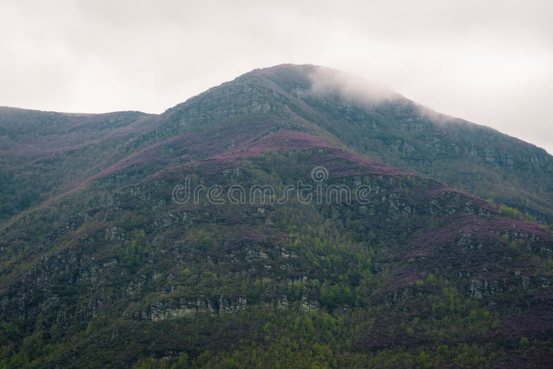 Imposing mass of Oribio peak with its cliffs populated with purple heather and birch forests in Courel Mountains Unesco Geopark in Lugo Galicia. Oribio range stock images, royalty-free photos and pictures