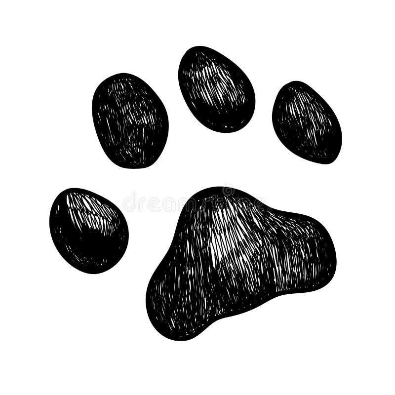 Impresión de la pata del perro del vector