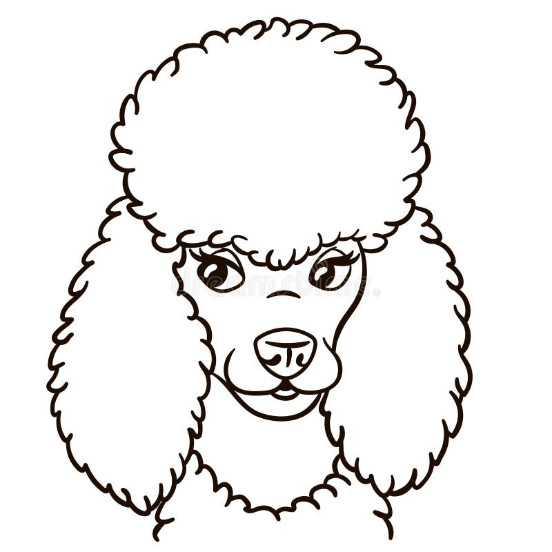 desenho de cachorro poodle para colorir. ilustração vetorial de contorno  7534268 Vetor no Vecteezy