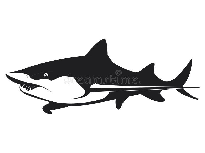 Free Free Nurse Shark Svg 372 SVG PNG EPS DXF File