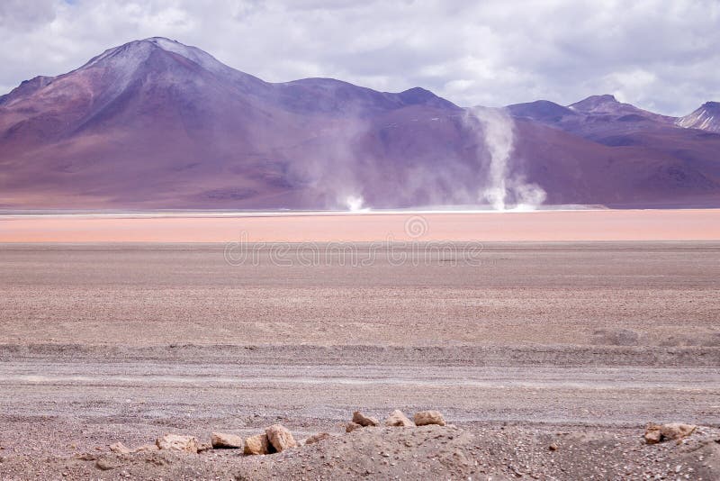 Impressive Laguna colorada - Red lake reflection, Andean Flamingos birds and Idyllic Altiplano Atacama Desert royalty free stock images