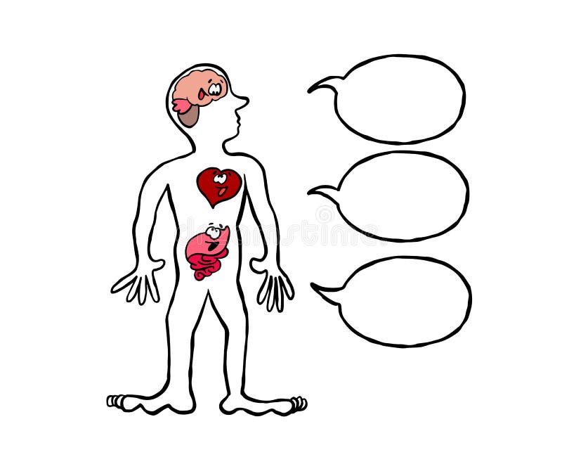 Brain Heart Gut Stock Illustrations – 210 Brain Heart Gut Stock  Illustrations, Vectors & Clipart - Dreamstime