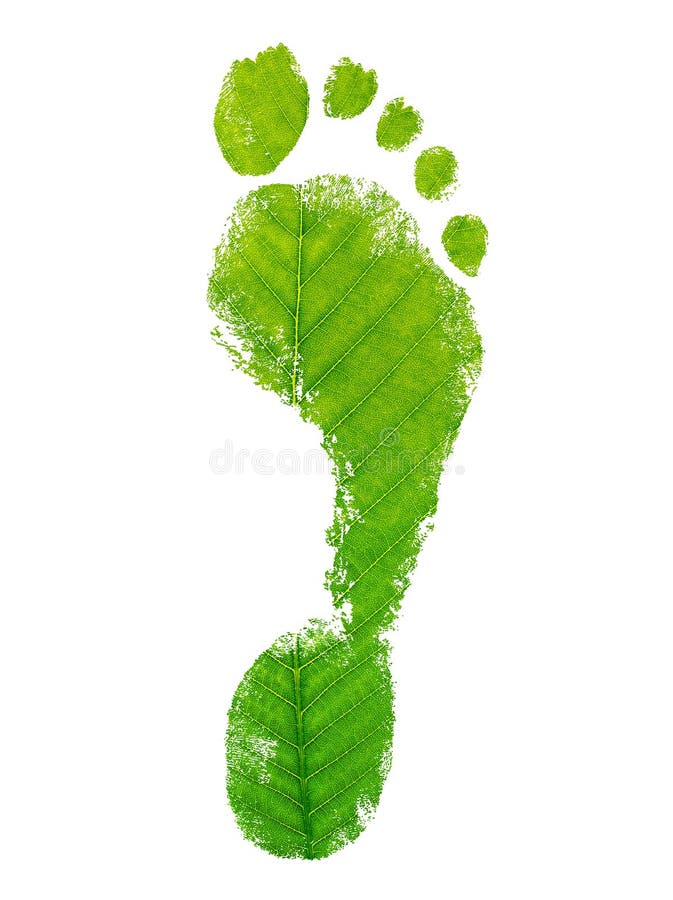 Impronta ecologica. trama in foglia. fotografia stock
