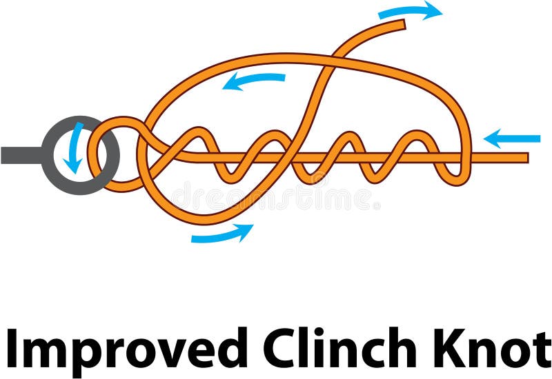 Improved clinch knot vector diagram