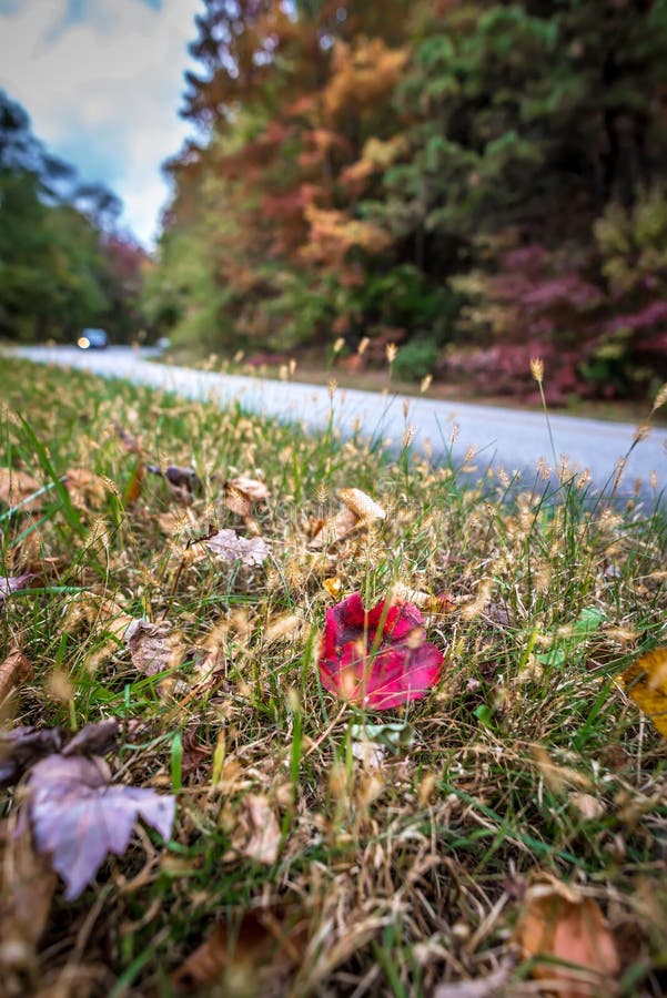 Impulsión escénica del otoño a lo largo de la ruta verde azul del canto imágenes de archivo libres de regalías Impulsión escénica del otoño a lo largo de la ruta verde azul del canto imágenes de archivo libres de regalías