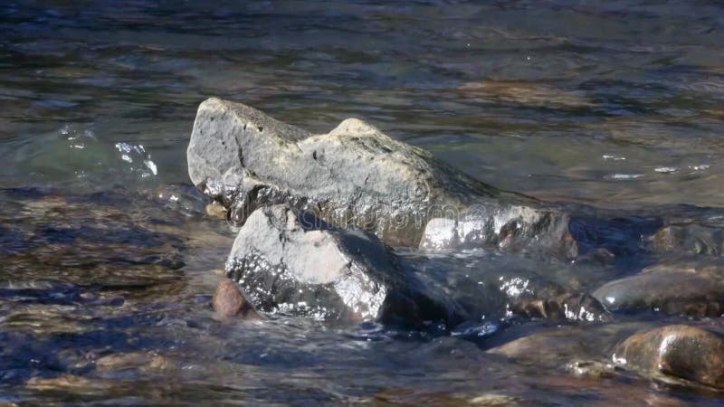 Imágenes de cerca de las rocas en un río que fluye en un día soleado almacen de video