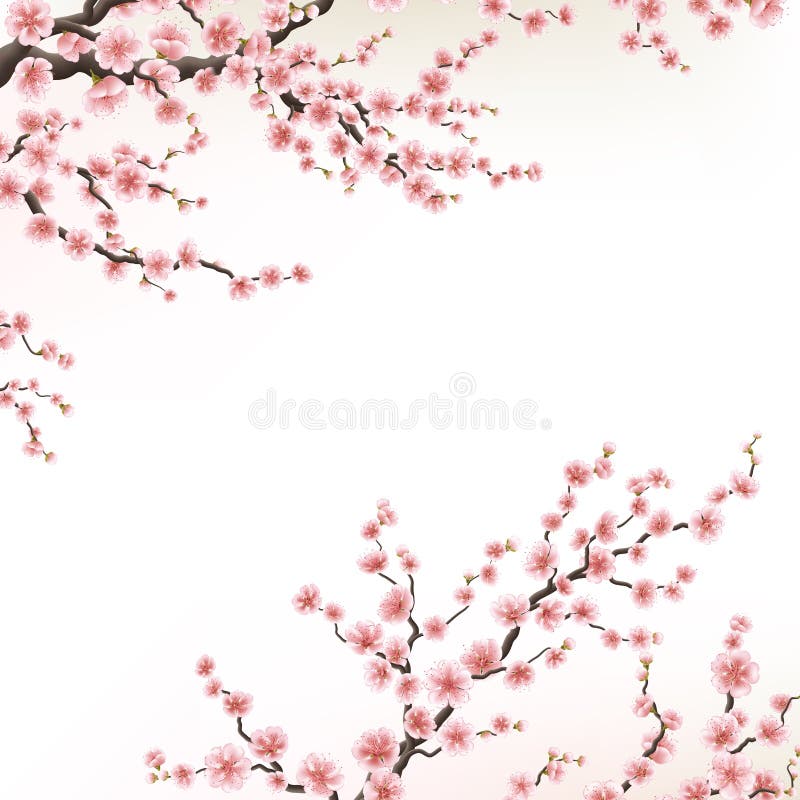 Inbjudankort med en blomning sakura 10 eps vektor illustrationer