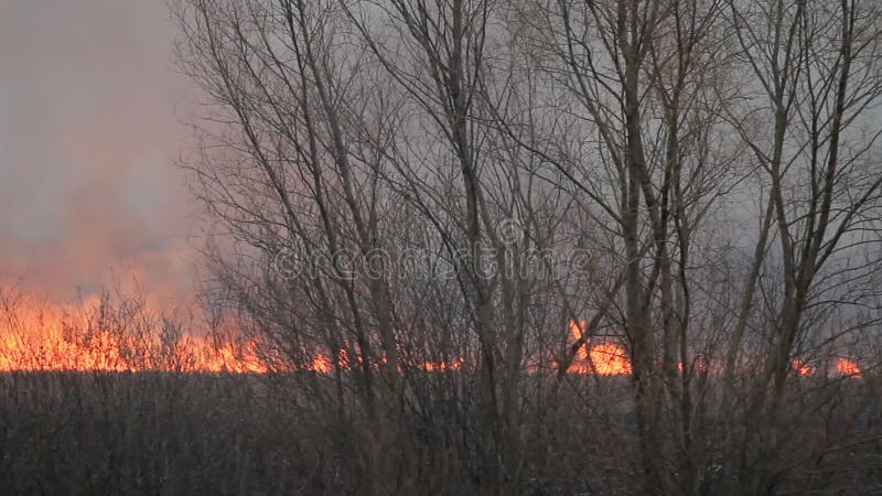 Nascente De água De Incêndio. Metano Em Combustão Na água. Fogo Frio Imagem  de Stock - Imagem de feiticeiro, subterrâneo: 214718589