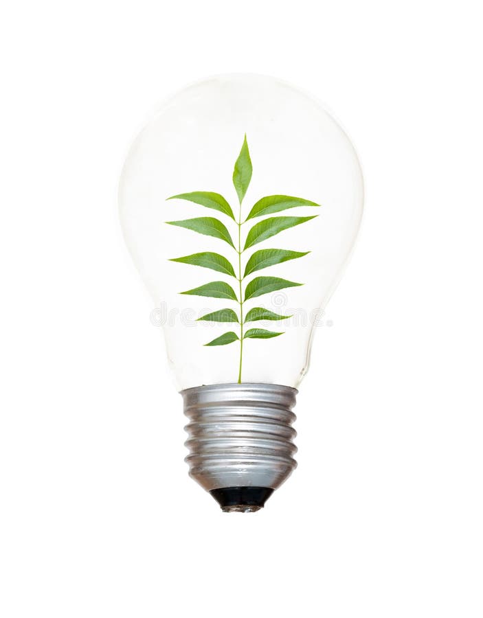 Incandescent light bulb with a tree