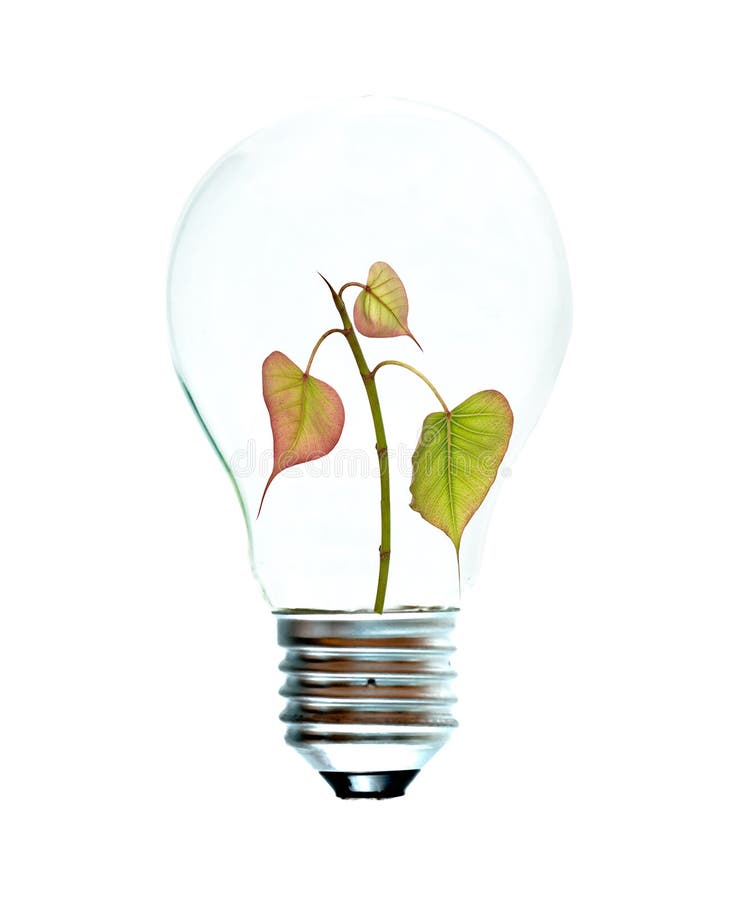 Incandescent light bulb with a tree