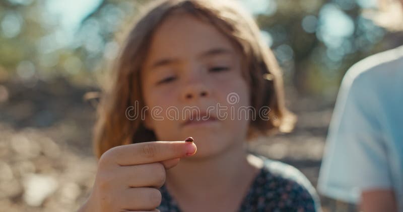 Incantevole il filmato di una deliziosa bambina che tiene in mano una coccinella