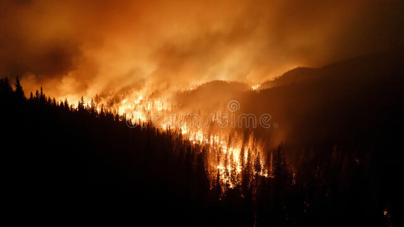 Incendi boschivi si diffondono attraverso foreste dense creando fumo denso e fiamme luminose durante una serata secca d'estate royalty illustrazione gratis