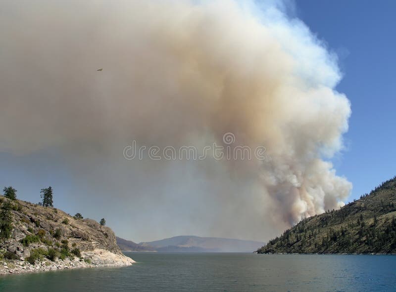 Incendie par le lac image stock. Image du arbres, désert 168859