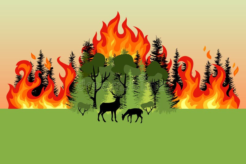 Incendio boschivo. Foresta mista di combustione colorata e cupola di cervo. alberi di conifere e di decidui verdi sullo sfondo deg illustrazione vettoriale