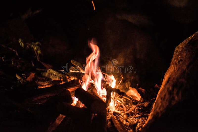 Un incendio in fiamme in una foresta profonda nel cuore dell'inverno.