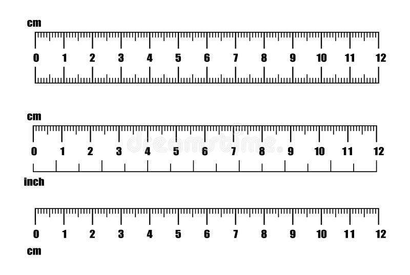 Inch and metric rulers. Centimeters and inches measuring scale cm metrics indicator. Precision measurement centimeter