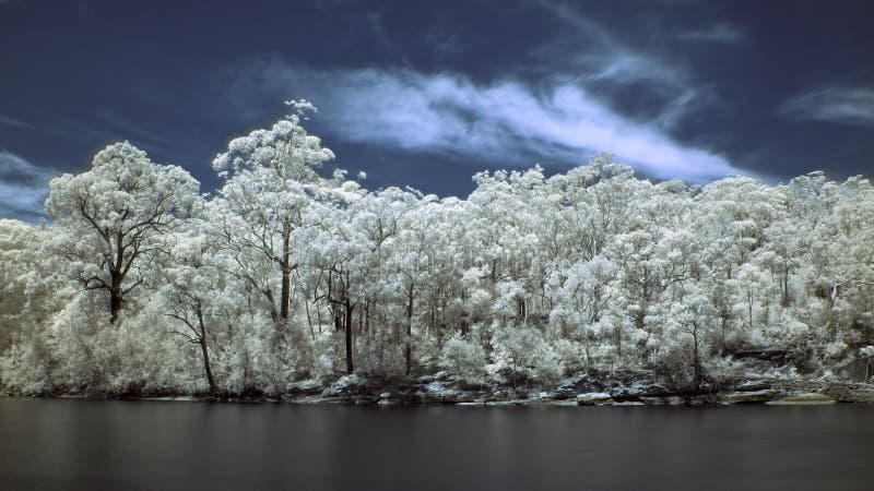 Incisione di IR fotografie stock Incisione di IR fotografie stock