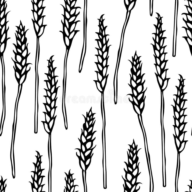Inconsútil con malta Modelo de la cerveza Aislado en un vector dibujado mano realista blanca del bosquejo del estilo de la histor libre illustration Inconsútil con malta Modelo de la cerveza Aislado en un vector dibujado mano realista blanca del bosquejo del estilo de la histor libre illustration