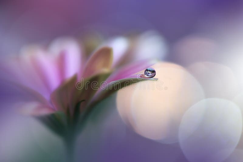 Beautiful Nature Background.Abstract Artistic Wallpaper.Art Macro Photography.Spring Flowers.Water drop.Plant,pure.Violet,yellow.