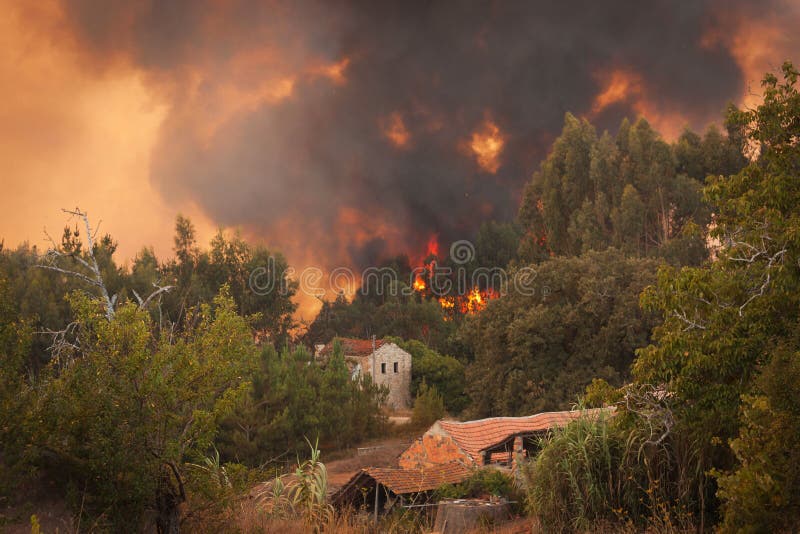 Incêndio selvagem da floresta perto das casas imagem de stock Incêndio selvagem da floresta perto das casas imagem de stock