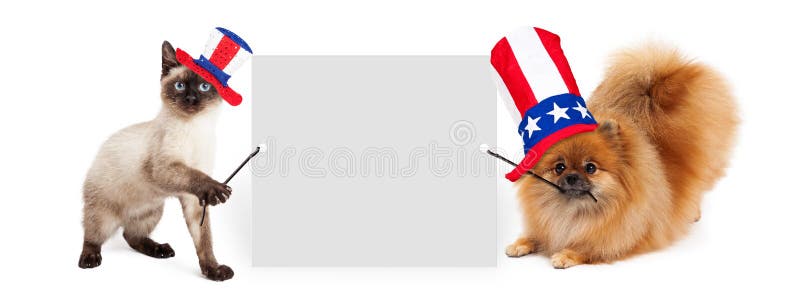 Siamese kitten and Pomeranian dog holding up a blank white sign while wearing red, white and blue American Independence Day hats. Siamese kitten and Pomeranian dog holding up a blank white sign while wearing red, white and blue American Independence Day hats