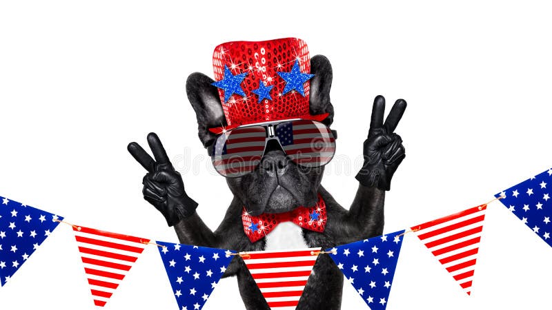 Independence day 4th of july dog