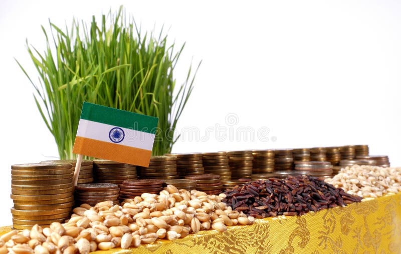 India flag waving with stack of money coins and piles of wheat