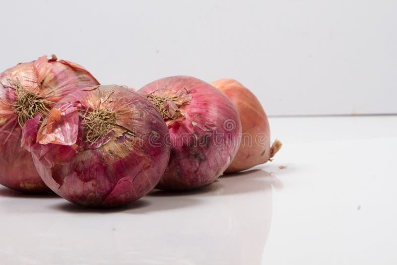 India onion isolated stock photo. Image of natural, ingredient 124394082