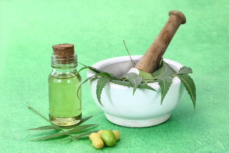 Indian Ayurvedic Neem & Oil, Indian Ayurvedic Stock Image Image of