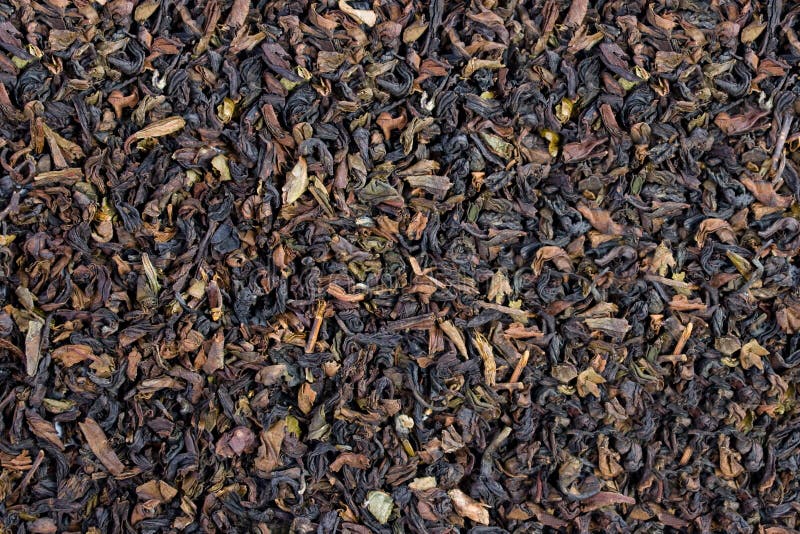 Indian black tea. stock image. Image of plant, drink 17953317