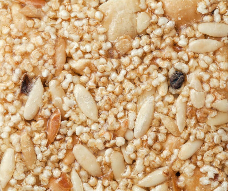 Indian brittle closeup stock photo. Image of seed, indian 69578174