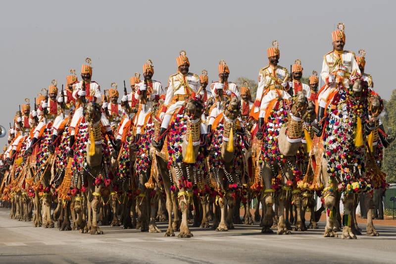 Indian Camels on Parade