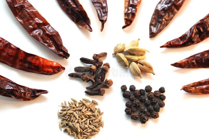 Indian cooking spices