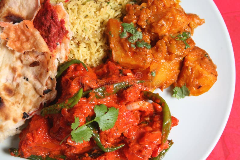 Indian Curry Dinner stock photo. Image of naan, indian - 4424868