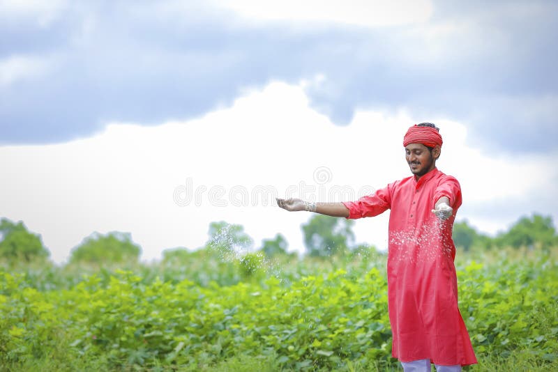 Indian Farmer Spreading Fertilizer In The Green Banana Field Stock Image Image Of Outdoor 