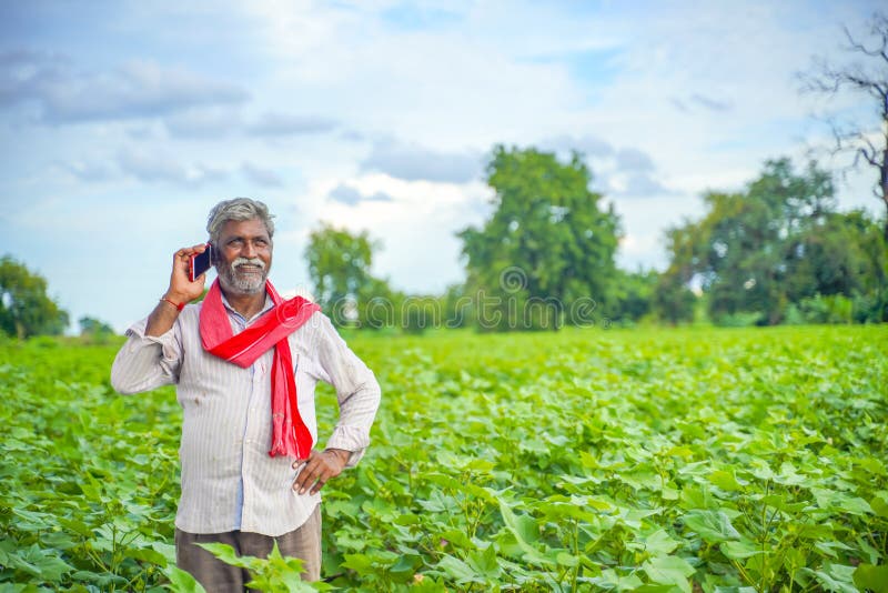 Indian Farmer Talking On Mobile Phone At Agriculture Field Stock Image