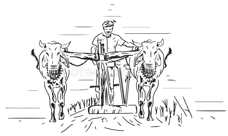 Indian Election Symbol Lady Farmer  Drawing Of Indian Farmer PNG Image   Transparent PNG Free Download on SeekPNG