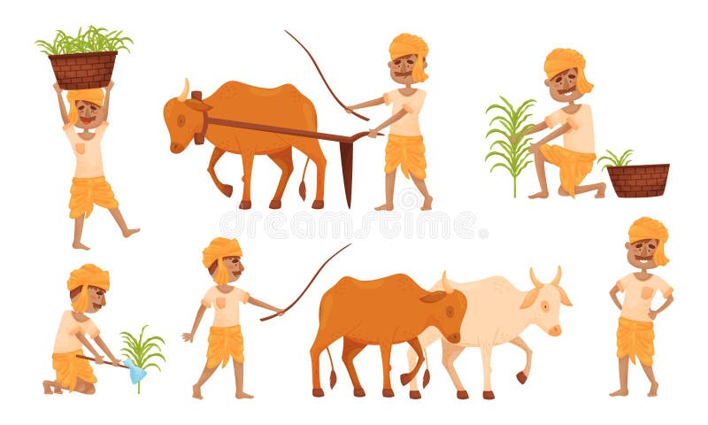 Indian Farmer Wearing Turban Cultivating Plants and Soil Yoking Oxen Vector Set