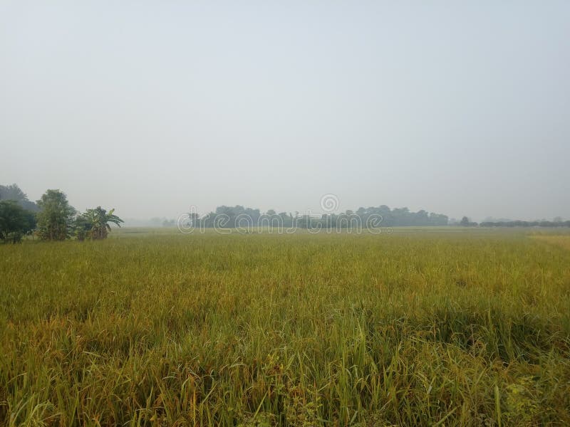 16,389 Fertile Land Photos Free & RoyaltyFree Stock Photos from