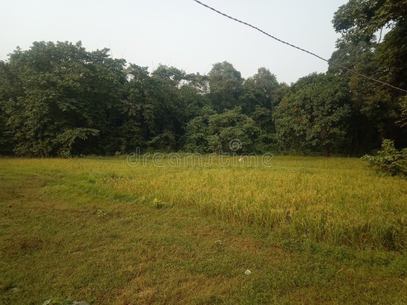 16,389 Fertile Land Photos Free & RoyaltyFree Stock Photos from