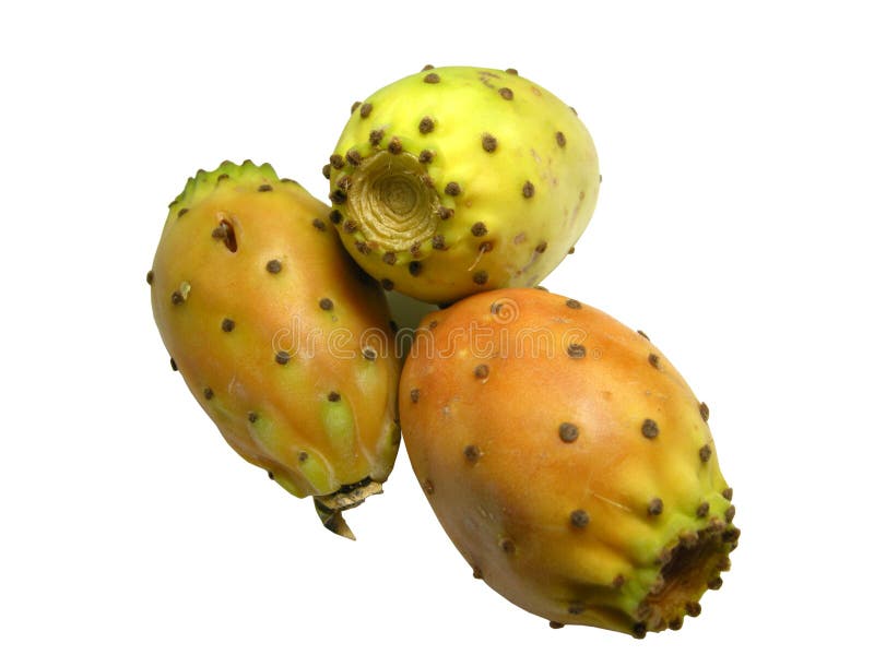 Indian fig fruit on white